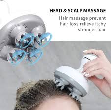 Electric Scalp Massager With 4 Tissue